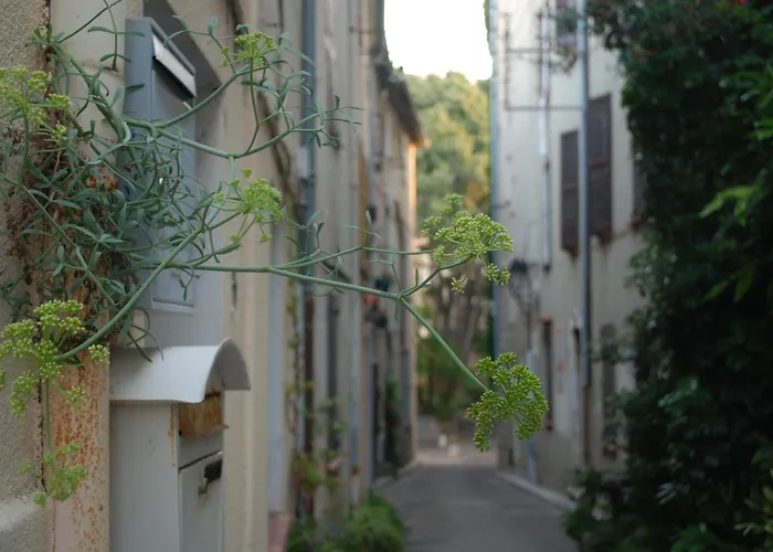 Sortie 44 - Newly Renovated 1 Bedroom, Center Of Old *